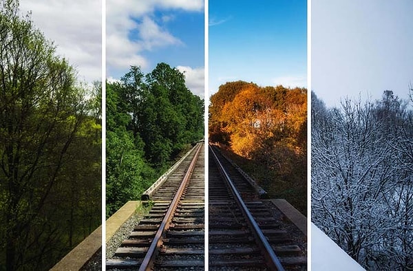 10. Мой брат ждал год, чтобы сделать эти четыре снимка, я выровнял их и немного отредактировал в Photoshop