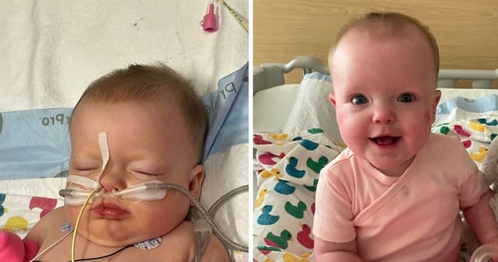 15 сравнительных фотографий, которые сделают ваш день немного лучше