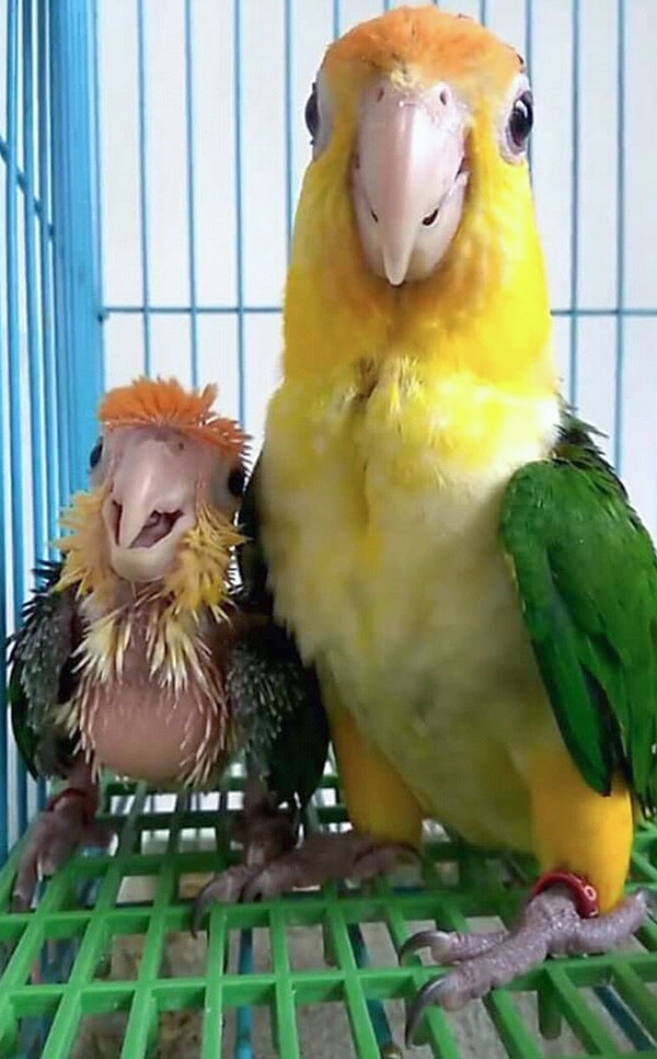 9. Мама и ребенок. Настоящее счастье