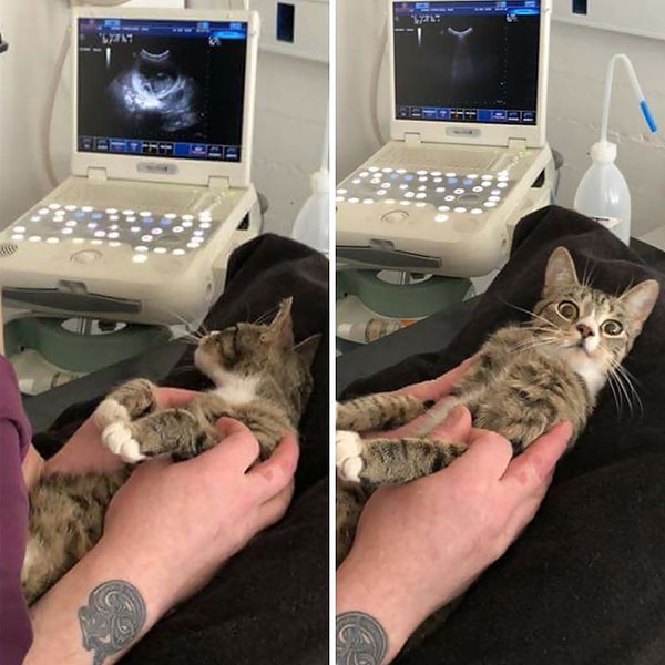 15. Когда узнала, что ты беременна