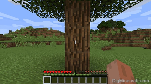 Wood
