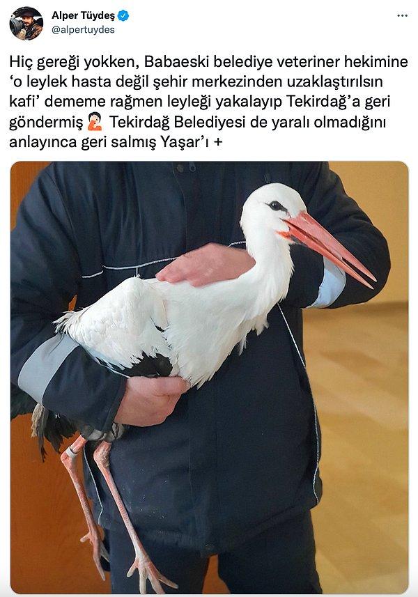 Doğa fotoğrafçısı Alper Tüydeş'in Twitter hesabında yaptığı paylaşımla başına gelenleri öğrendik.