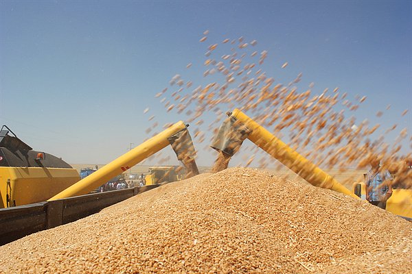 Tarım emtiasında karışık bir seyir gözlendi