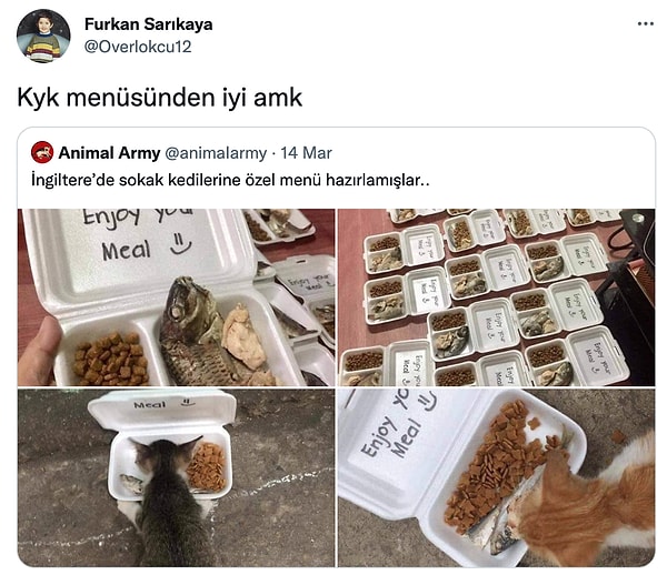 12. Balığın en az 100 lirası var.