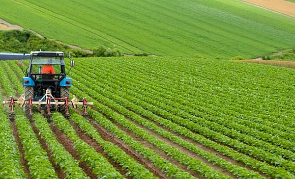 Çiftçilerin kendi güneş enerji sistemlerini kurması için devlet yüzde 40 hibe sağlayacak