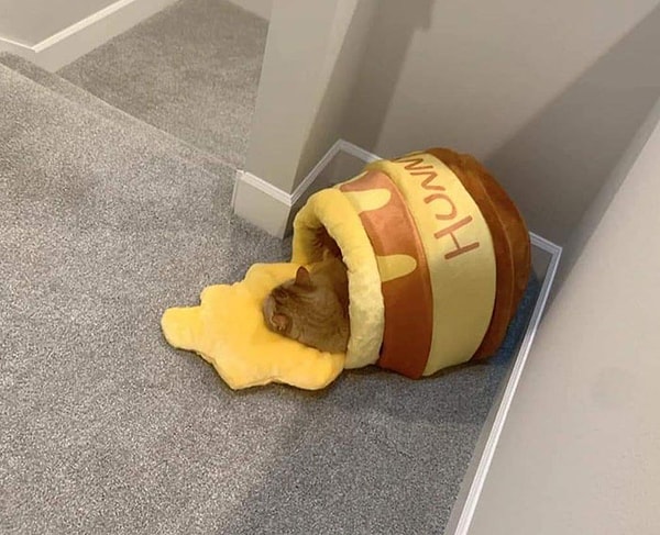 2. Уютненько