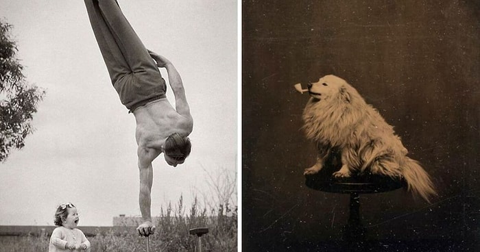 «Затерянные в истории»: 26 фотографий, которые проливают новый свет на наше прошлое