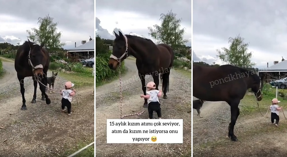 At ile Vakit Geçirmeyi Çok Seven 15 Aylık Çocuğun Muhteşem Anları