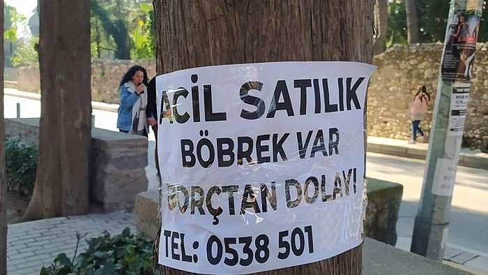 Geçim Zorluğu İnternet Aramalarına da Yansıdı: 'Böbreğimi Satmak İstiyorum' Araması 400 Kat Arttı