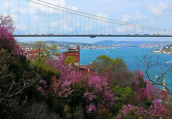 Meteoroloji Uzmanı Prof. Dr. Orhan Şen İstanbul başta olmak üzere Batı bölgesinde kar yağışının biteceğini ve artık çiçeklerin açacağını söyledi.