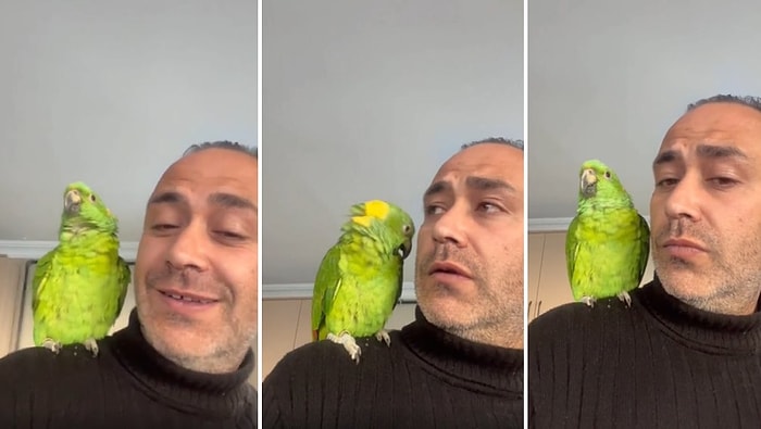 Papağandan 'Kutu Kutu Pense' Söylemesini İsteyip Birlikte Kahkaha Atan Muhteşem İkili