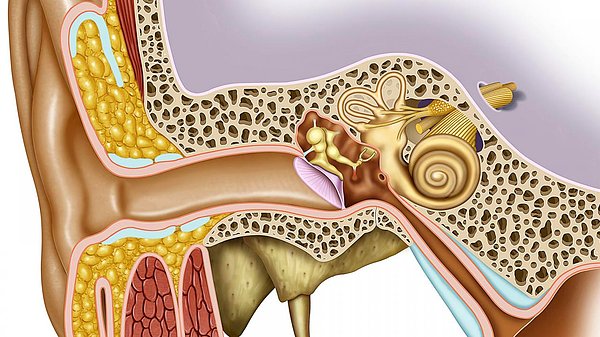 Orta Kulak İltihabı Nasıl İyileşir?