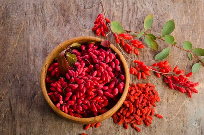 Goji Berry Nedir? Vücuda Faydaları ve Zararları