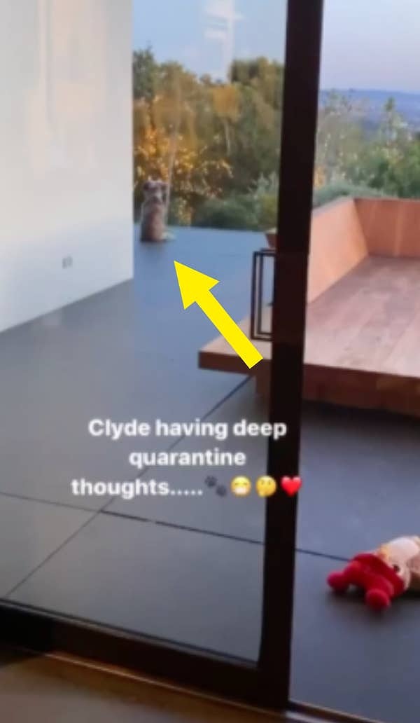 Что бы это не значило...