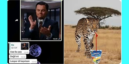 Elvin Levinler'in Ev Koleksiyonundan Yakışıksız Aktör Leopar Di Kaprisan'a Son 24 Saatin Viral Tweetleri