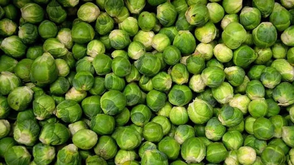 Brüksel Lahanasının Vücuda Yararları Nelerdir? Brüksel Lahanasının Faydaları ve Zararları