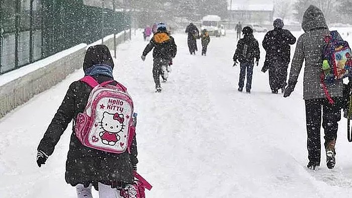 Bitlis'de Yarın Okullar Tatil mi? 24 Mart 2022 Perşembe Bitlis'te Okullar Tatil mi Edildi?