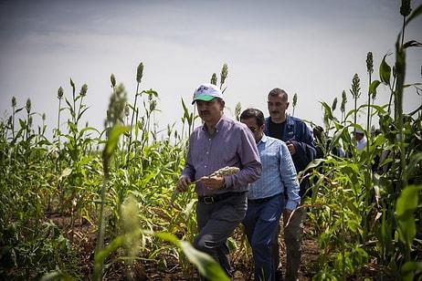 Bekir Pakdemirli 'Arazimize Kavuştuk' Demişti: Sudan'ın Bir Hektar Bile Arazi Vermediği Ortaya Çıktı