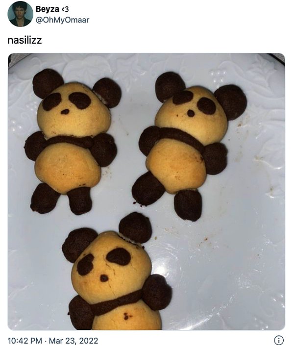 Ortaya çıkan tatlı mı tatlı panda aileleri gözlerimizden adeta kalpler çıkarttı.