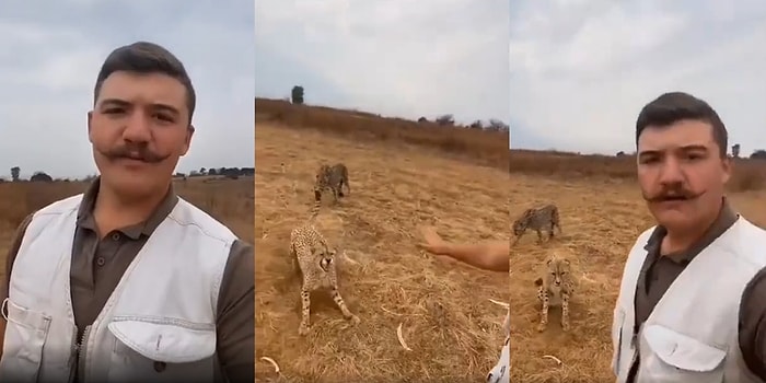 Kendisine Doğru Koşan Çitayı Tek Bir El Hareketiyle Durduran Kralın Aşırı Havalı Videosu