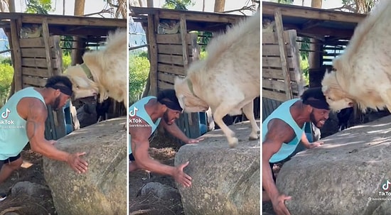 Erkekler Neden Daha Az Yaşar? Teke ile Kafa Güreşine Tutuşan Adam