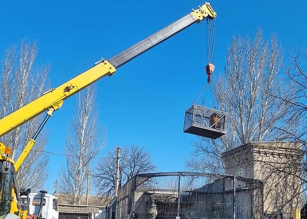 Для перевозки животных из вольеров в минивэн Ford использовались кран и экскаватор.