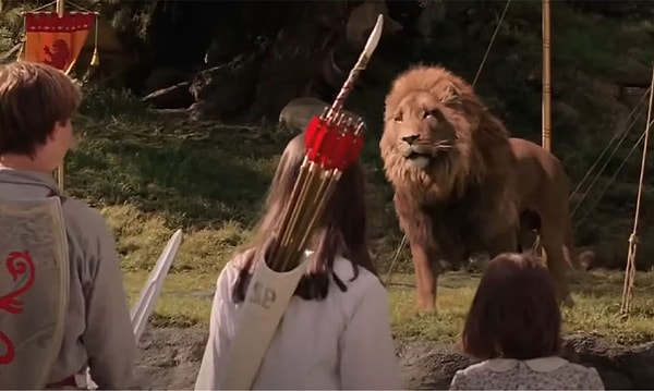 Полиция на украинских контрольно-пропускных пунктах думала, что Тим шутит, пока они сами не увидели животных.