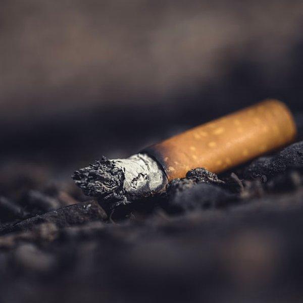 8. İnme sonrası insular lobu hasar gören sigara bağımlılarının dürtü olmadan kolayca sigarayı bırakabildiği ve bunun da beynin nikotin bağımlılığında rol oynayabileceği ortaya çıkmıştır.