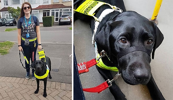 2. Слепой женщине сказали выйти из автобуса, потому что «собаки-поводыри не могут быть черными»