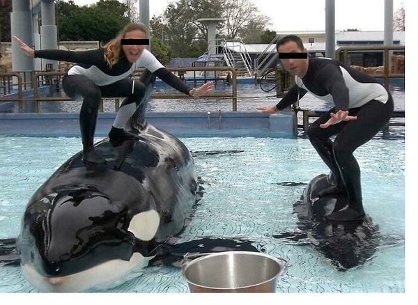 7. Морской мир