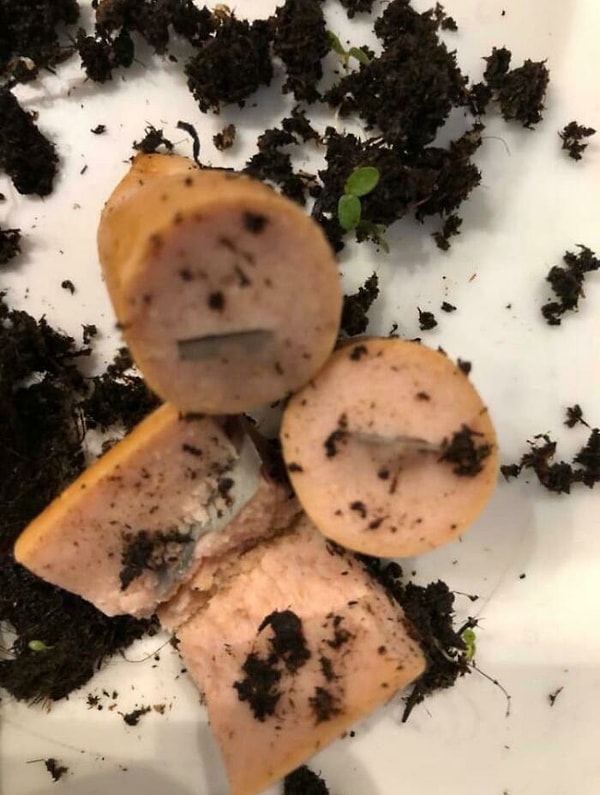 9. Кто-то в моем родном городе подложил бритвы в сосиски, чтобы издеваться над местными собаками