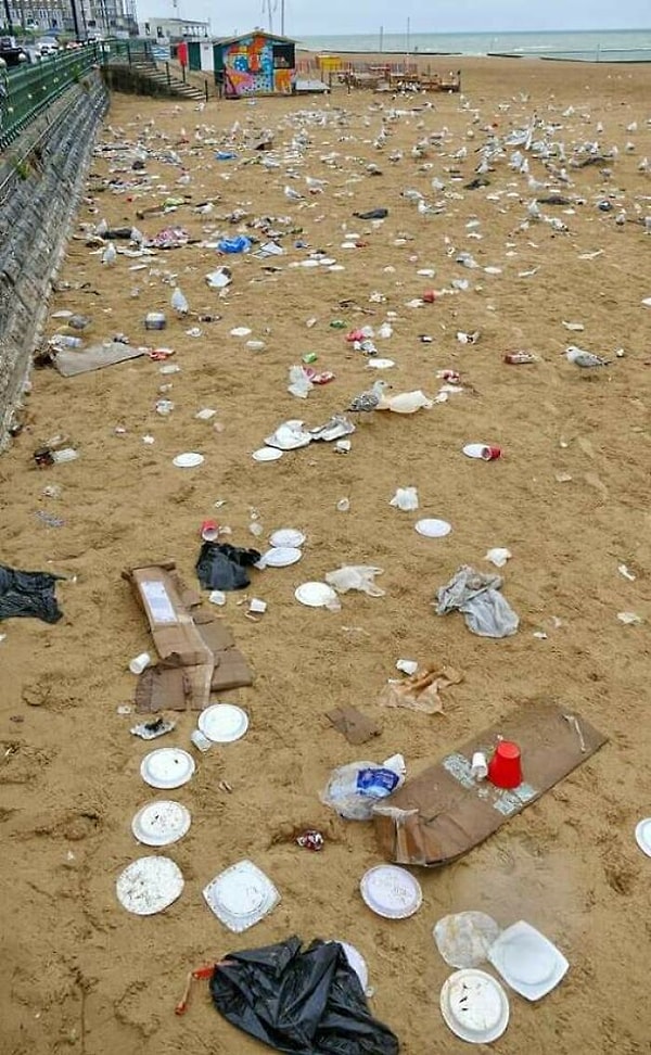 16. Пляж после того, как его покинули туристы