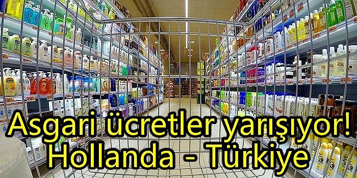 Hollanda'da Asgari Ücretin Yüzde 5'i ile Alınanları Türkiye'de Ne Kadara Alıyoruz?