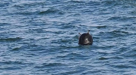 İstanbul Boğazı'nda Görülen Mayın Etkisiz Hale Getirildi!