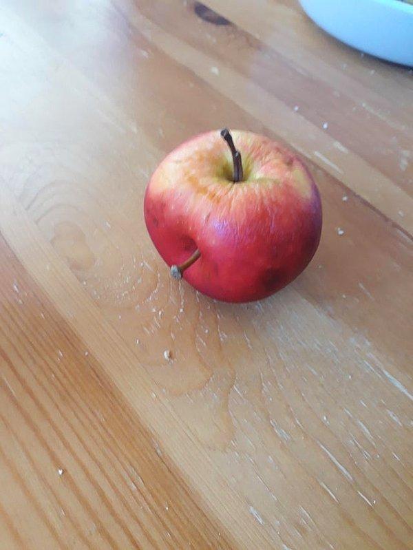 16. "Aldığım elmanın iki sapı var."