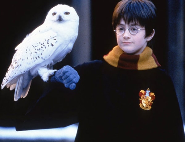8. Хедвиг из "Гарри поттера"