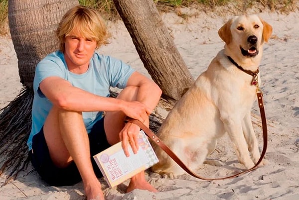 9. Марли из "Марли и я"