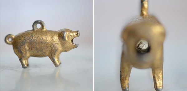 15. Вот кое-что, о чем вы не знали, что вам нужно в жизни: порно внутри крошечной свинкой