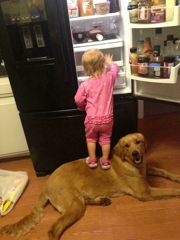 14. «Мы разделим добычу 50/50»