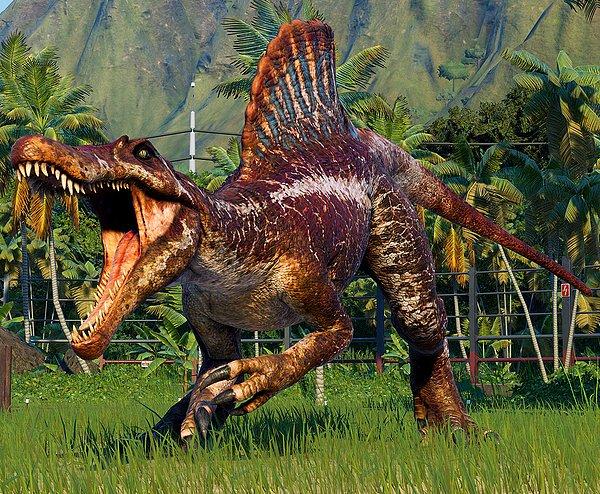Kemik yoğunluğu ve suda avlanan canlılar arasında bağlantı bulunduğu ifade edilerek en büyük yırtıcı dinozor "Spinosaurus"un suda avlanacak kadar yoğun kemik kütlesine sahip olduğu öne sürüldü.