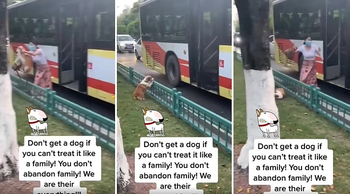 Köpeğini Yolun Kenarına Terk Edip Yoluna Devam Eden Kadının Canınızı Sıkacak Görüntüleri