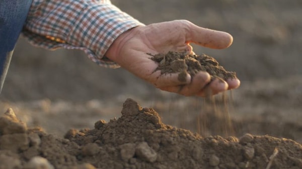 Hangisi değerin emek ile belirlenmesi gerekliliğini vurgulayan iktisat okulunun temsilcilerinden biri değildir?