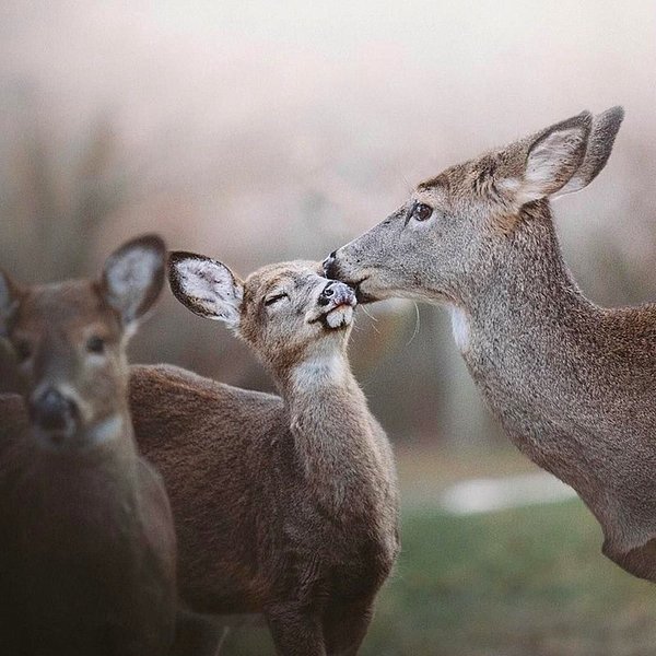 6. Minik bir öpücük.😍
