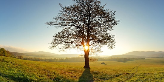 Kış Bitti! Baharı Karşılaman Gereken Yer Neresi?