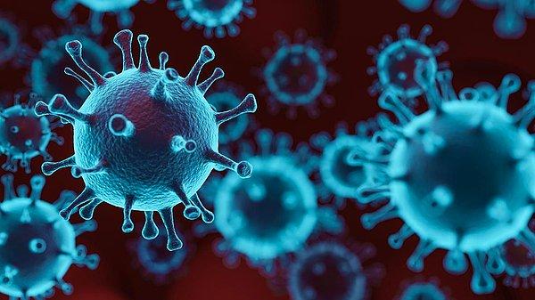 Norovirüs Enfeksiyonu Nedir?