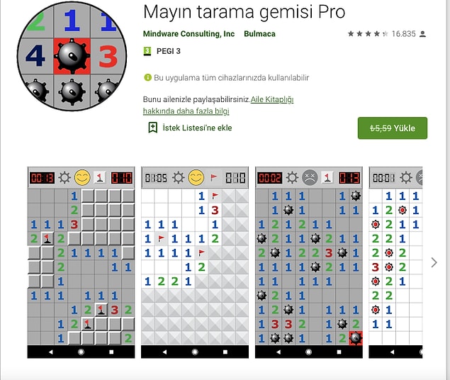 Mayın tarama gemisi Pro