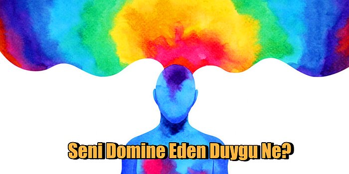 Seni Domine Eden Duygu Ne?