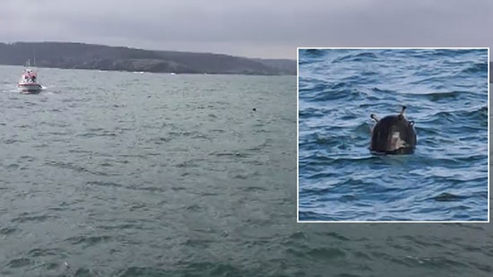 Ukrayna, Karadeniz'de Görülen Deniz Mayınlarından Rusya'yı Sorumlu Tuttu