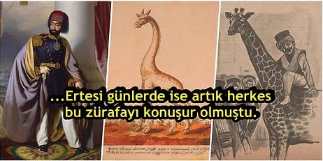 Padişah II. Mahmud'a Hediye Edilen Zürafanın İlginç İstanbul Macerası