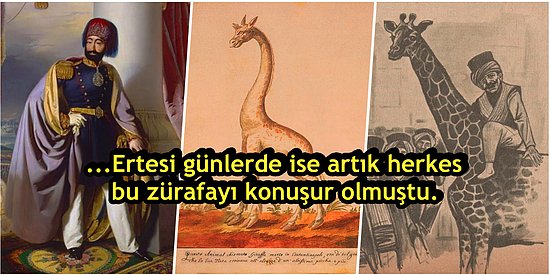 Padişah II. Mahmud'a Hediye Edilen Zürafanın İlginç İstanbul Macerası